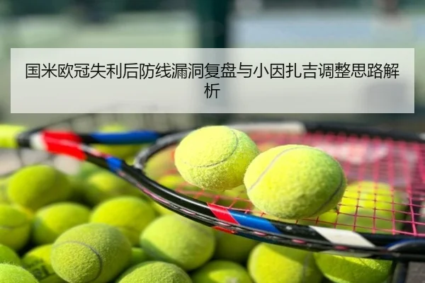国米欧冠失利后防线漏洞复盘与小因扎吉调整思路解析
